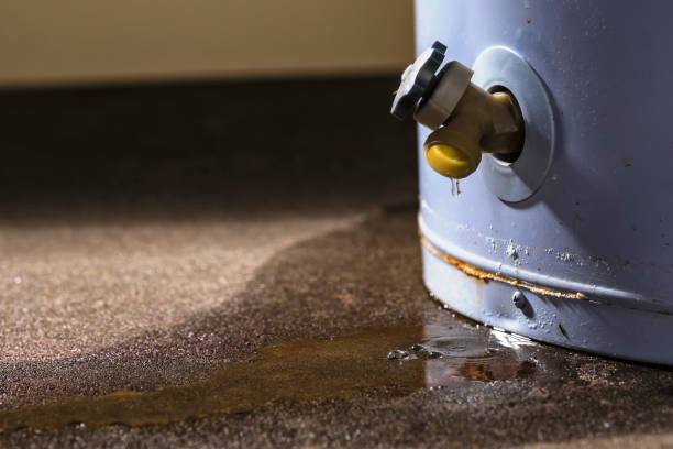 Best Flood restoration services  in Parachute, CO