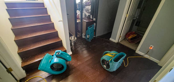 Best Fire Damage Restoration  in Parachute, CO
