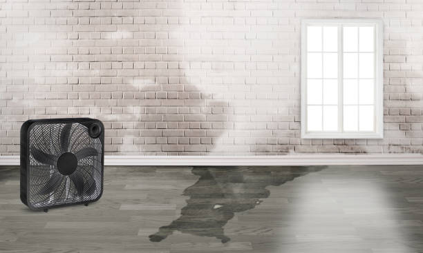 Best Water damage repair service  in Parachute, CO