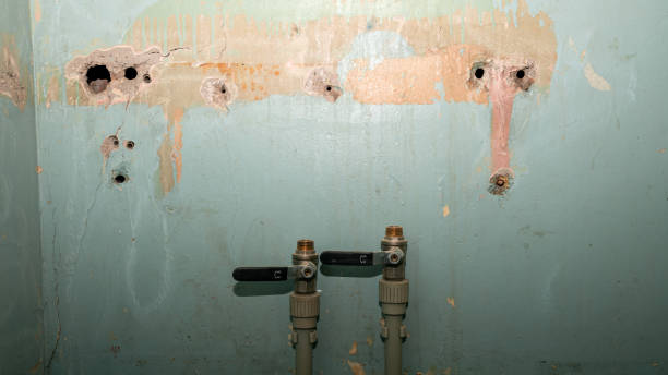 Best Professional water damage repair  in Parachute, CO