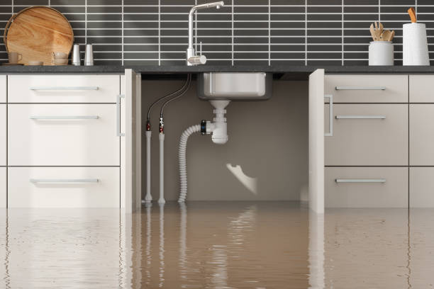 Best Water damage restoration near me  in Parachute, CO