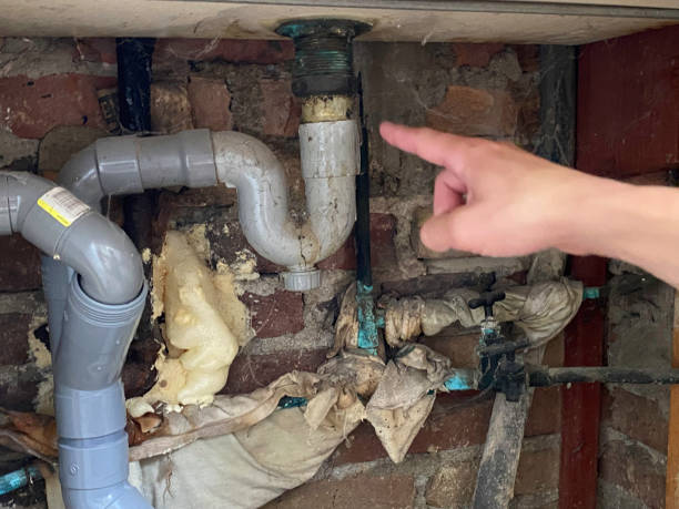 Best Water damage restoration near me  in Parachute, CO